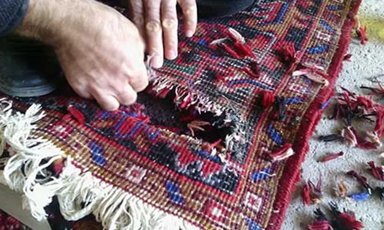 ترمیم فرش شمس آباد