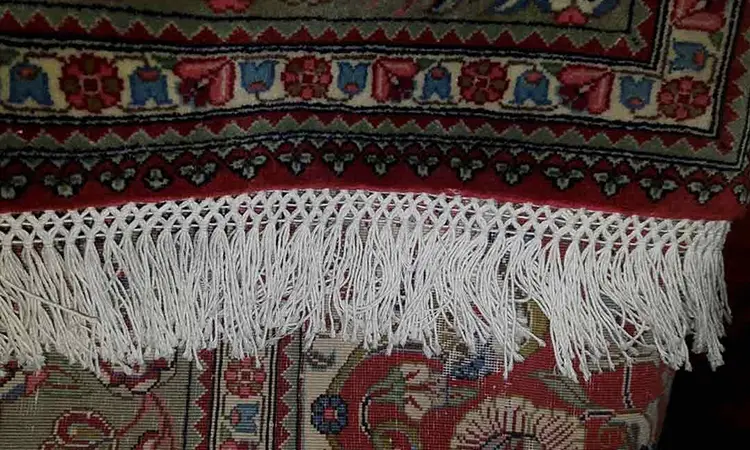 ریشه زنی شمس آباد